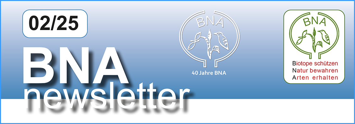 BNA-Newsletter 02/2025