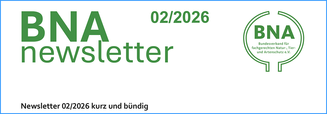 BNA Newsletter 02/2026