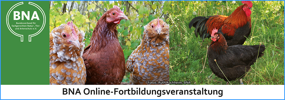 BNA-Onlinefortbildung
