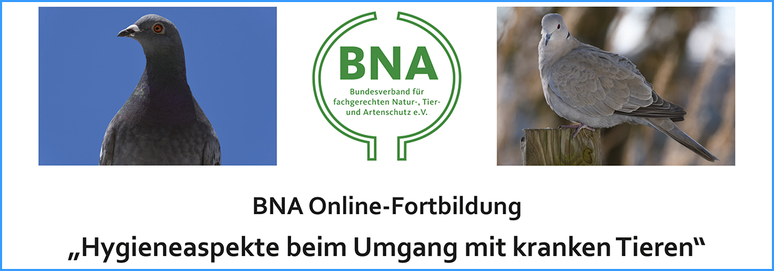 BNA-Onlinefortbildung