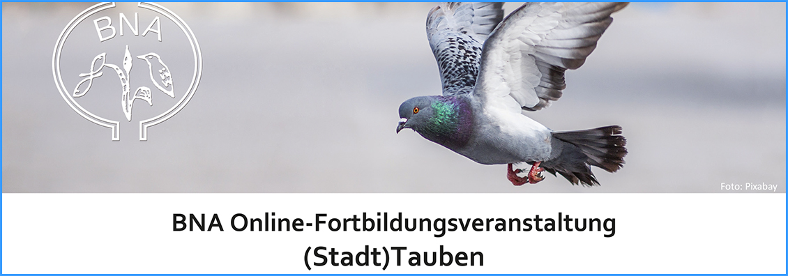BNA-Onlinefortbildung