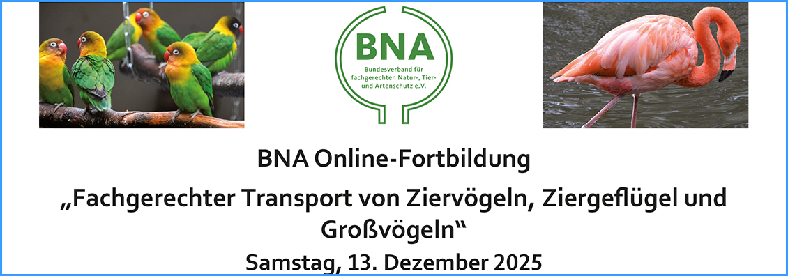 BNA-Onlinefortbildung